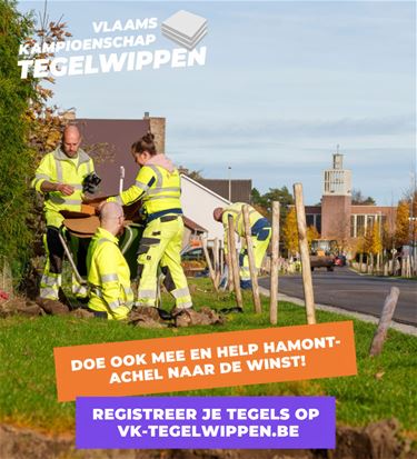 Hamont-Achel roept inwoners op om te ‘tegelwippen’ - Hamont-Achel