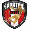 Handbal: gelijkspel voor Sporting - Pelt