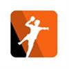 Handbalfinales ook op tv te zien