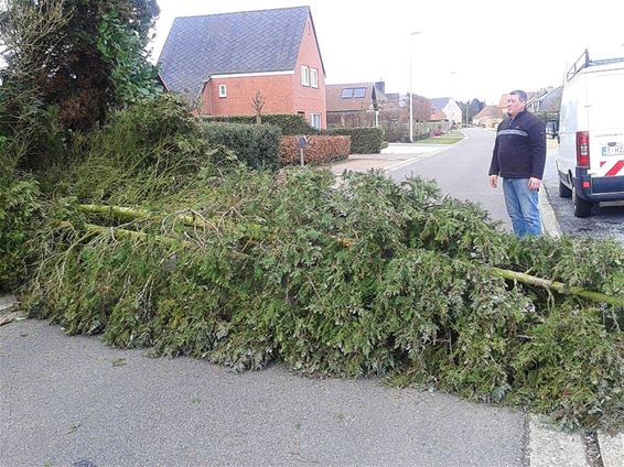 Handenvol werk voor brandweer - Lommel