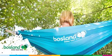 Hangmatactie in Bosland