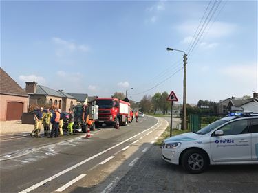 Hardnekkig frituurvet op de weg - Beringen