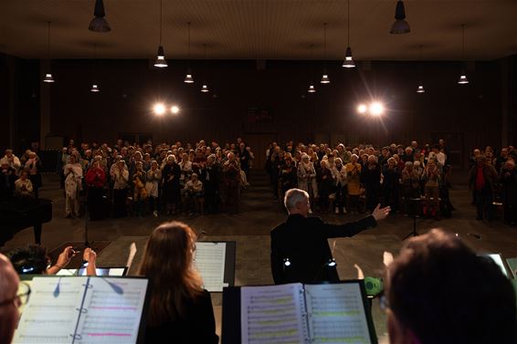 Hartverwarmend kerstconcert 'Vrede is...' - Hamont-Achel & Pelt