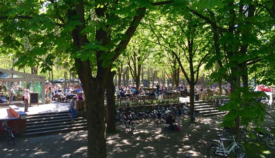 Héél druk aan de Scoutsrally - Neerpelt