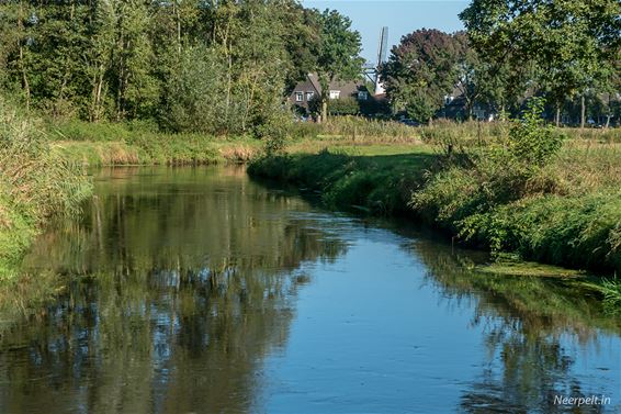 Heen met zout, terug met boter... - Neerpelt