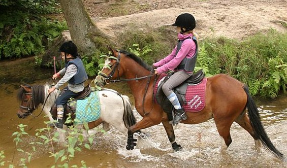 Heerlijk, op een pony in het water... - Hamont-Achel