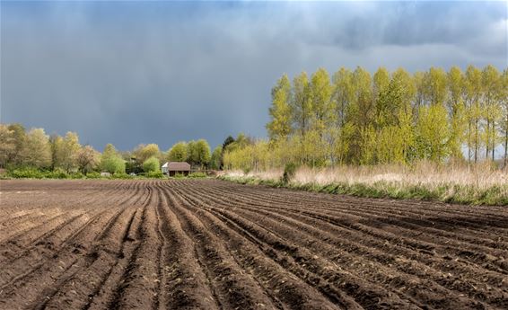 Heerlijke luchten in de Kolonie - Lommel