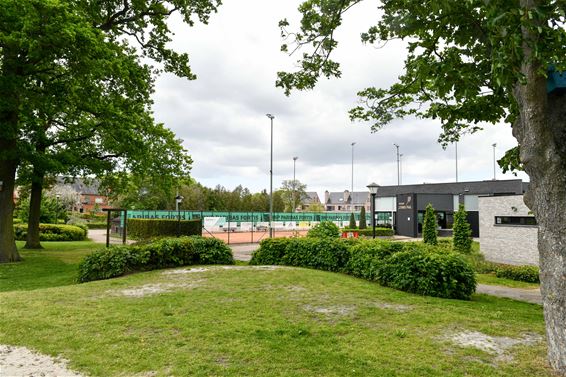 Heibel over mogelijke padelterreinen - Beringen