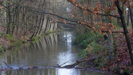 Heide Heuvel dit weekend - Lommel