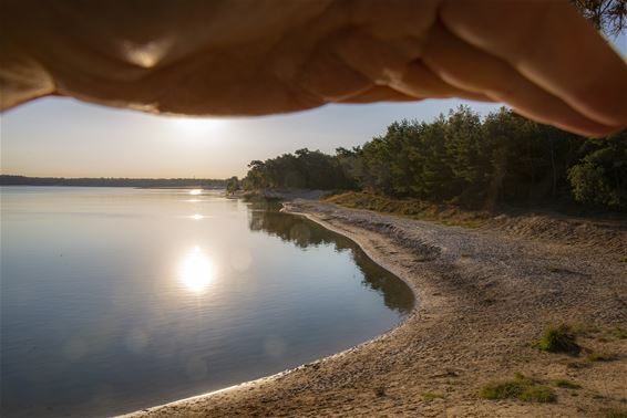 Heide-Heuvel en Blekerheide vandaag - Lommel