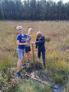 Heidebeheer op het Slijkven - Hechtel-Eksel