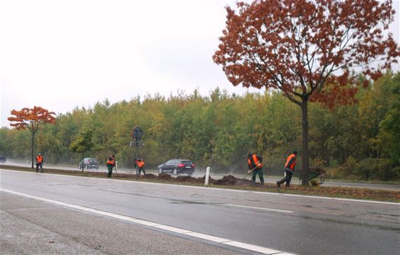 Heidebermen en inkleding omgeving Leyssensmolen - Lommel