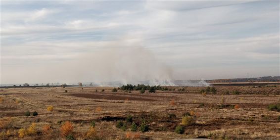 Heidebrand op militair domein - Lommel & Leopoldsburg