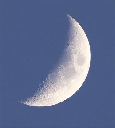 Heldere nacht, mooie maan - Beringen