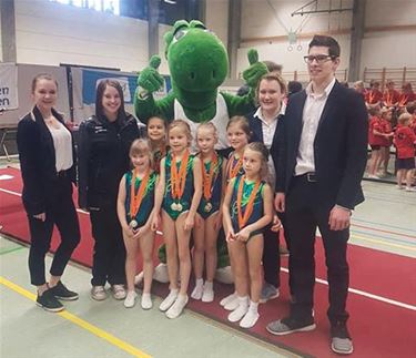 Hele reeks medailles voor Palfit - Beringen