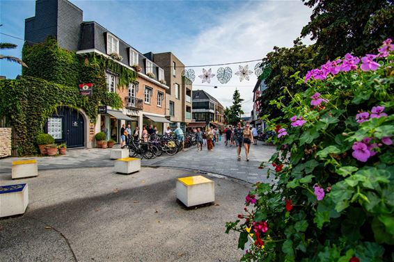 Help mee bouwen aan een levendig stadscentrum - Lommel