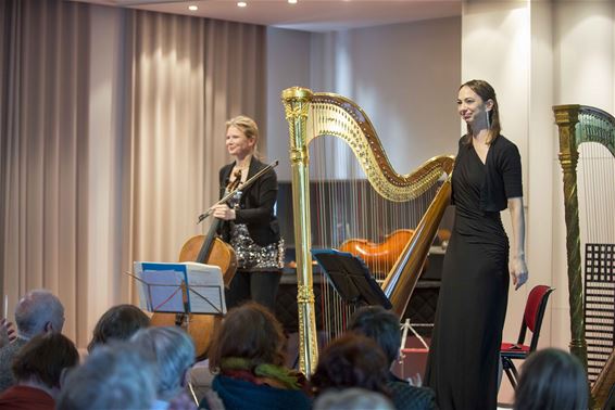 Hemelse harpklanken in Lommel - Lommel