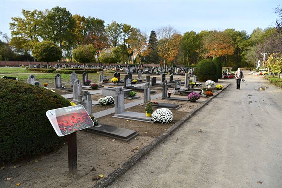 Heraanleg hoofdpaden begraafplaats Beringen-Mijn - Beringen
