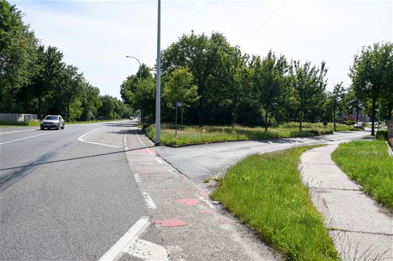 Heraanleg hoek Schansvijverstraat-Koolmijnlaan - Beringen