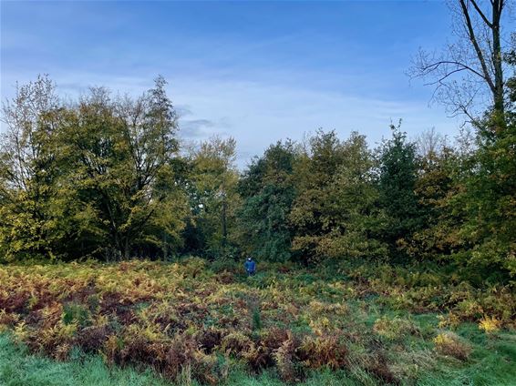 Herdenkingstocht August Molenberghs - Beringen