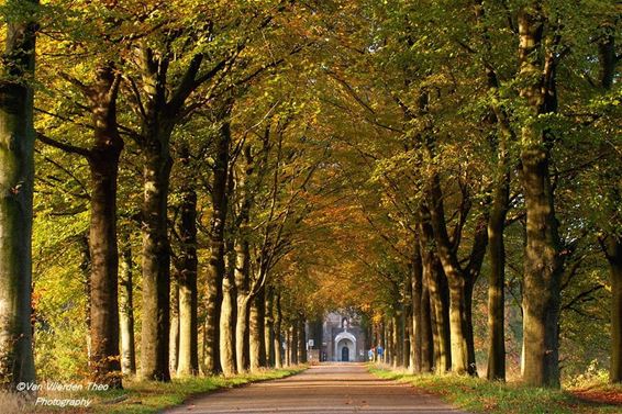 Herfst aan de Achelse Kluis - Hamont-Achel