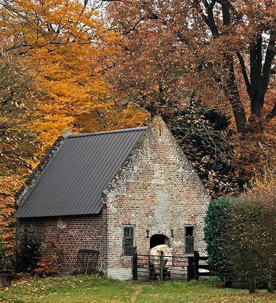 Herfst aan de Beverdijk - Hamont-Achel