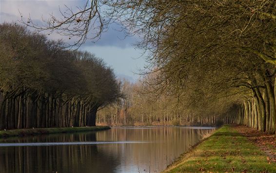 Herfst aan de Hork - Neerpelt