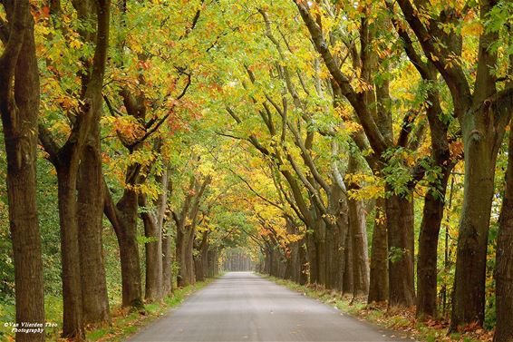 Herfst aan de Kluis - Hamont-Achel