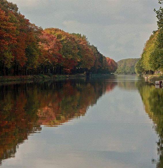 Herfst aan het kanaal... - Hamont-Achel