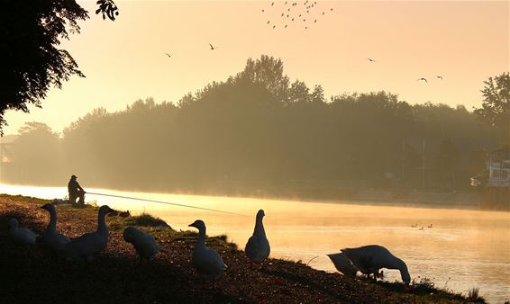 Herfst aan het kanaal - Neerpelt