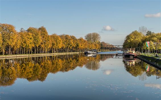 Herfst aan het kanaal - Pelt