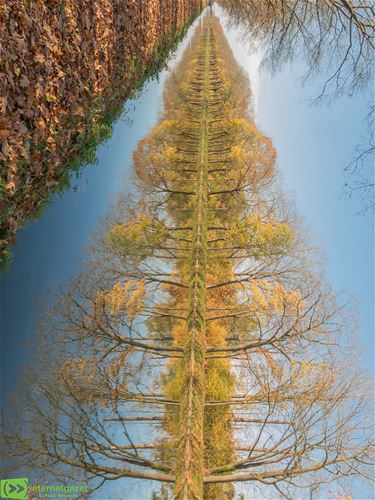 Herfst aan het kanaal: anders bekeken - Pelt