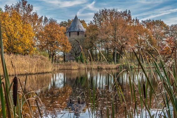 Herfst bij de Tomp - Hamont-Achel