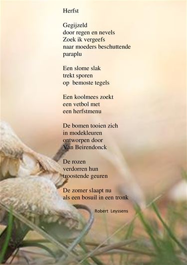 Herfst door Robert Leyssens - Beringen