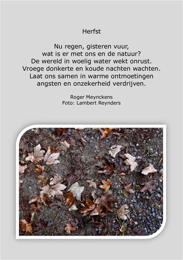 Herfst door Roger - Beringen & Leopoldsburg