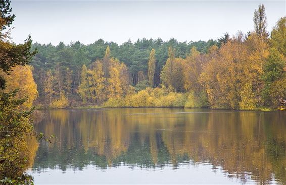 Herfst in de Sahara (3) - Lommel