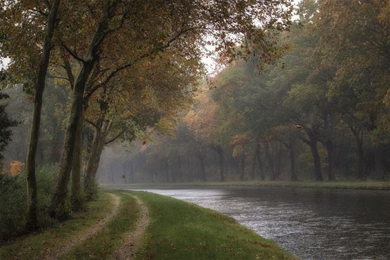 Herfst in Gelderhorsten - Lommel