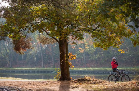 Herfst in Heide-Heuvel en Kolonie - Lommel