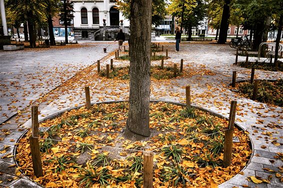 Herfst in het Dorp - Lommel