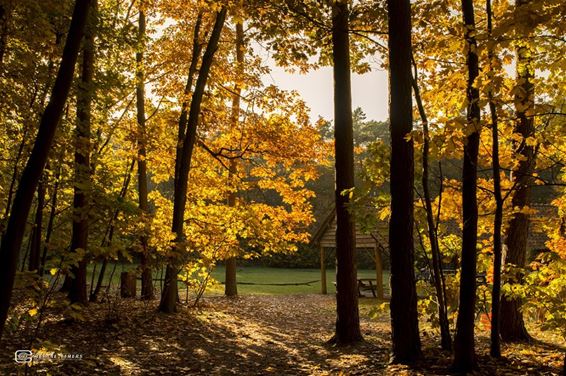 Herfst in het Pijnven - Hechtel-Eksel