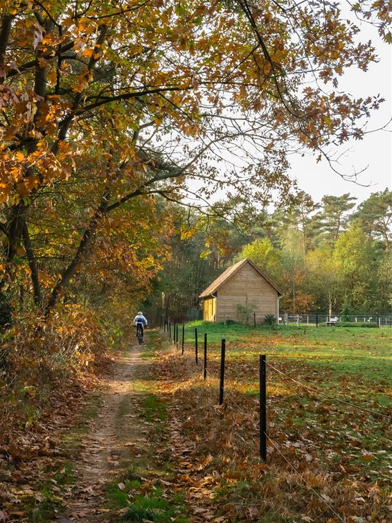 Herfst in Overpelt - Overpelt