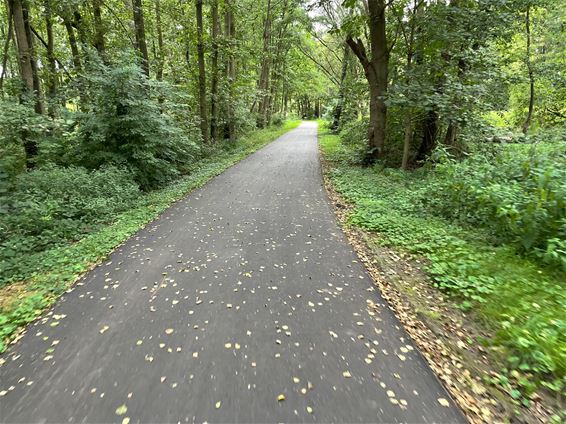 Herfst in volle zomer: droogtestress - Beringen