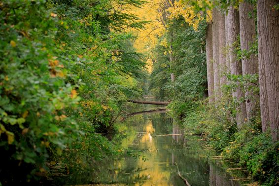 Herfst is gelijk aan kleur - Lommel