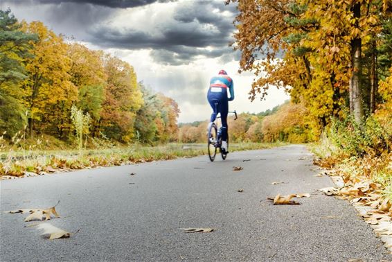 Herfst langs het kanaal - Lommel