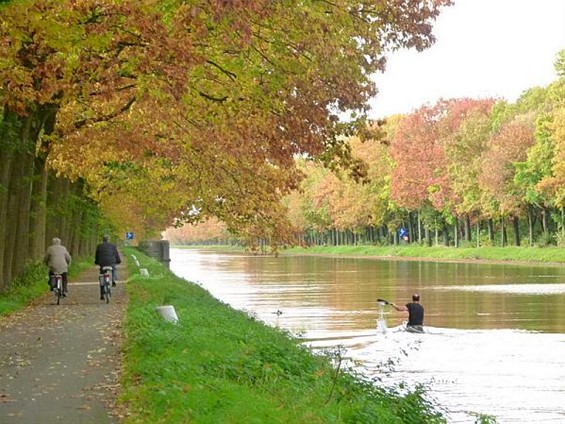 Herfst langs het kanaal - Neerpelt