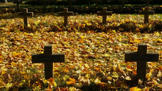 Herfst... of mooie nazomer? - Lommel