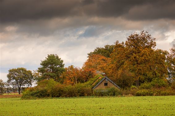 Herfst op Blauwe Kei en Russendorp - Lommel