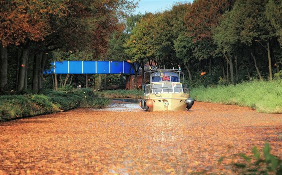 Herfst op het kanaal - Lommel