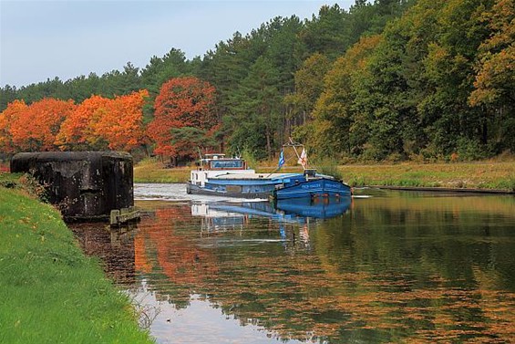 Herfst op het kanaal - Lommel