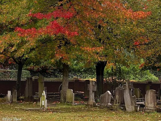 Herfst op het kerkhof - Hamont-Achel